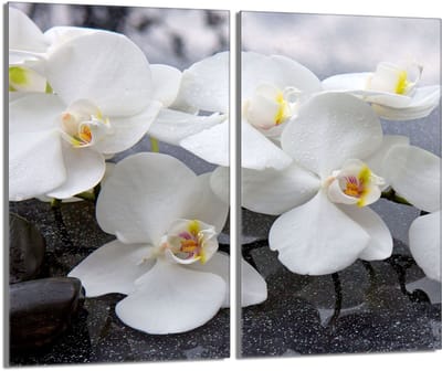 TMK ArtDeko - Orchidee - Glazen Beschermplaat - 2x30x52cm - Hittebestendig