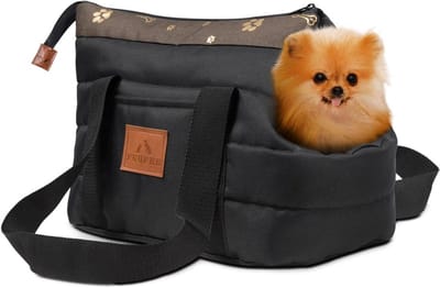 Transportbox hond - hondendraagtas zacht - dier draagtas 35 x 25 x 20 cm | reistas klein voor huisdieren met ritssluiting en karabijnhaak