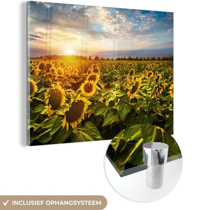 MuchoWow® Glasschilderij 40x30 cm - Schilderij acrylglas - Bloemen - Zonnebloem - Lucht - Foto op glas - Schilderijen