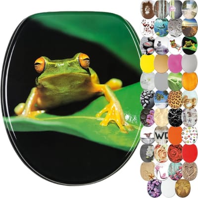 Sanilo Toilet seat without soft-close mechanism, many beautiful toilet lids to choose from, high-quality and stable quality made of wood (Froggy Green)