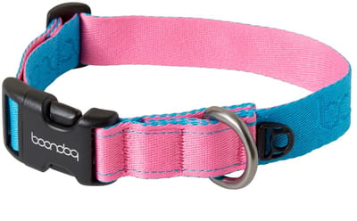 Boondog - Original Collar - Aqua/Pink - S