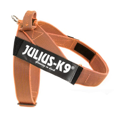 Julius-K9 IDC® Color & Grijs tuig, maat oranje/grijs XL/2: Borstomtrek 71-96cm voor honden