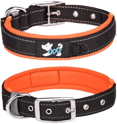 Dailygoods- Halsband Verstelbaar - Reflecterende Halsband - Zacht Neopreen Gevoerd - Nylon Halsband - Hondenhalsband XL - Geschikt voor Grote Honden