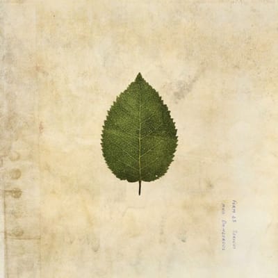 Boxer Rebellion - The Cold Still (Forest Green Vinyl)