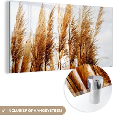 MuchoWow® Glasschilderij 40x20 cm - Schilderij acrylglas - Pampasgras - Zon - Gras - Foto op glas - Schilderijen