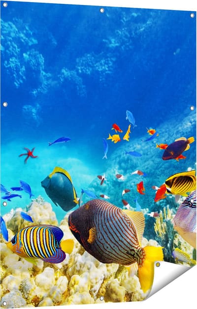 Gards Tuinposter Vissen in de Oceaan met Koralen - 90x120 cm - Tuindoek - Tuindecoratie - Wanddecoratie buiten - Tuinschilderij