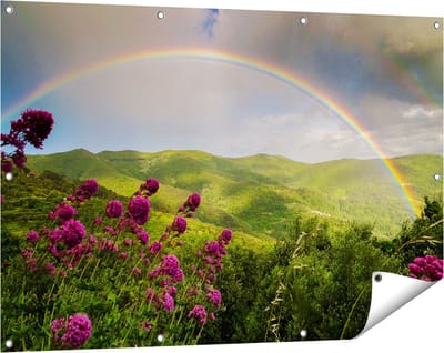 Gards Tuinposter Regenboog in de Heuvel Bossen - 120x80 cm - Tuindoek - Tuindecoratie - Wanddecoratie buiten - Tuinschilderij