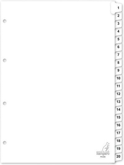 Tabbladen - 2x set - 1-20 genummerd - a4 formaat - 4 gaats/rings - organiseren/opbergen kantoorartikelen