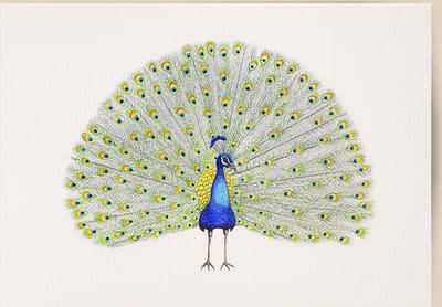 World of Mies poster pauw - A4 - mooi dik papier - Snel verzonden! - tropisch - jungle vogel - dieren in aquarel - geschilderd door Mies