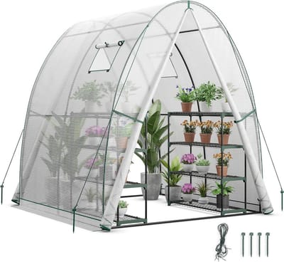 Tuinkas - Plantenhuis - Planten Kweken - Met Afsluitbare Deuren - 181 x 181 x 200 cm - Transparant