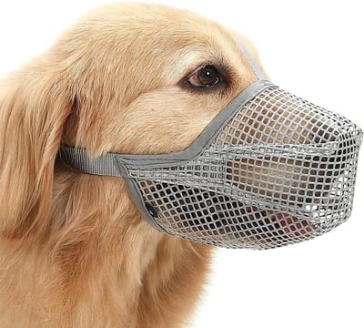 Zachte hondenmuilkorf met netovertrek, verstelbare riemen, voorkomt bijten en kauwen, ideaal voor training en wandelingen (grijs, M: snuit: 24,5 - 25,4 cm)