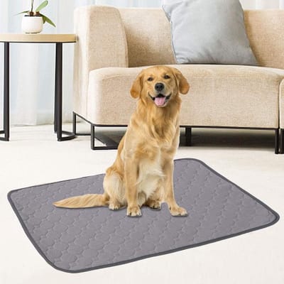 Wasbare plasmatten voor honden - Herbruikbare trainingsmatten - Waterdichte werpkussens - Absorberende puppy-pad - Trainingspads - Hondenpads met antislipbodem - Grijs maat L
