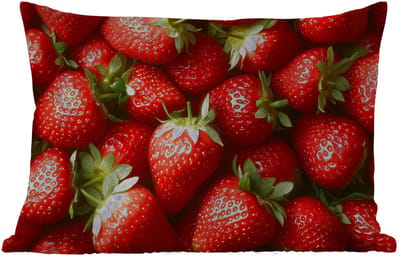 Buitenkussens - Tuin - Aardbei - Fruit - Rood - 50x30 cm