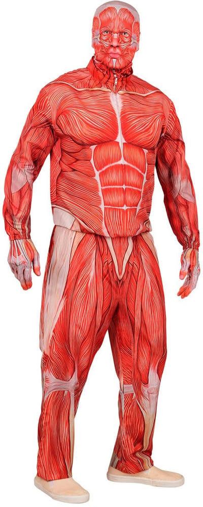 Anatomie kostuum Bente