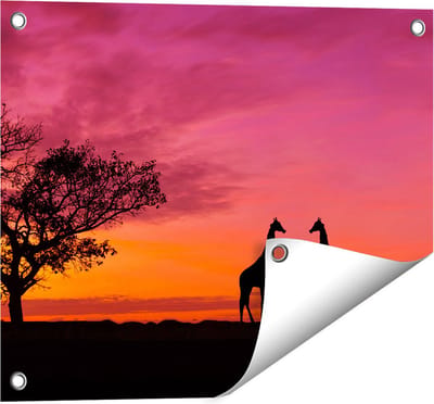 Gards Tuinposter Twee Giraffe Silhouetten bij Zonsondergang - 50x40 cm - Tuindoek - Tuindecoratie - Wanddecoratie buiten - Tuinschilderij