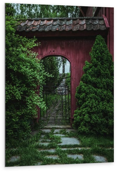 Dibond - Poort tussen Bomen - 80x120cm Foto op Aluminium (Wanddecoratie van metaal)