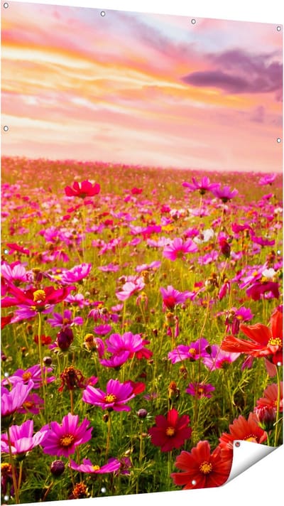 Gards Tuinposter Kleurrijke Kosmos Bloemenveld - 120x180 cm - Tuindoek - Tuindecoratie - Wanddecoratie buiten - Tuinschilderij