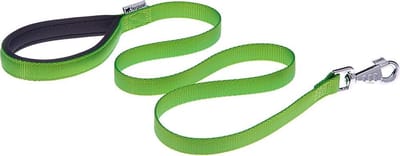 FERPLAST HONDENRIEM DAYTONA G20/120 GROEN