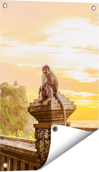 Gards Tuinposter Aap op de Uluwatu Tempel in Bali - 40x60 cm - Tuindoek - Tuindecoratie - Wanddecoratie buiten - Tuinschilderij