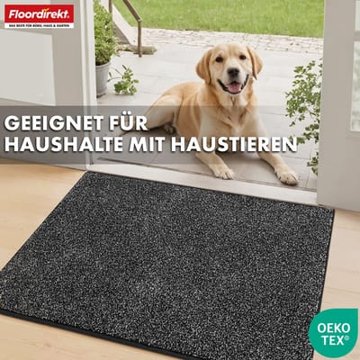 FLOORDIREKT Schoonloopmat Nasa - Zachte & Waterabsorberende Deurmat - Antraciet 50 x 80 cm - Voor Binnen & Buiten - Antislip Onderzijde - Verkrijgbaar in 5 Kleuren & 8 Maten