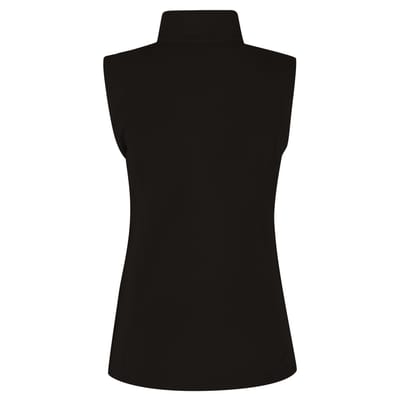 Regatta Vrouwen/dames 210 Series Microfleece Bodywarmer / Gilet (Zwart)