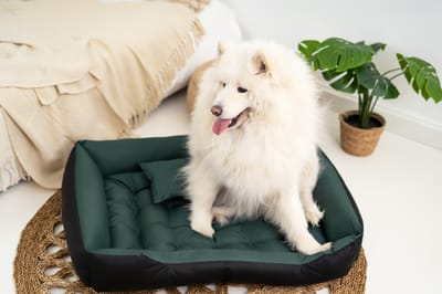 Lit pour chien imperméable ECCO, S M L XL XXL 3XL S - 55/45 cm noir