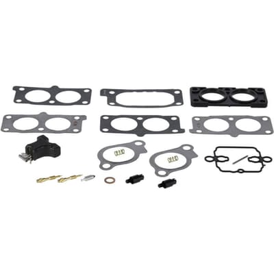 Briggs & stratton revisiekit carburateur