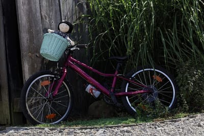 Thijox - Fietsmand voor Kinderen, Handgeweven Wilgentenen Mand voor Kinderfiets, Kleine Rustieke Fietsmand voor Avonturen, Ideaal voor Speelgoed en Sn