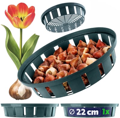 KADAX plantmand Ø 22 cm voor bloembollen, kunststof plantenbak, woelmuizenbescherming voor tulpen, narcissen en andere bolgewassen, zaaibak