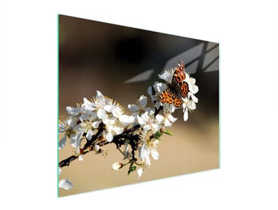 TMK ArtDeko Serie - Glazen Snijplank - 52x40 cm - UV-print - Antislip