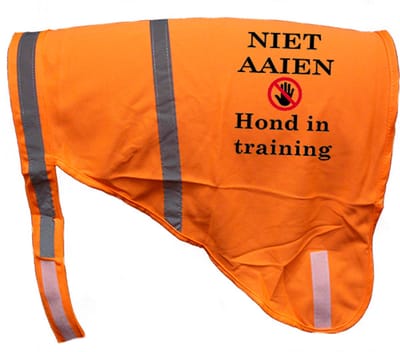 Hondenhesje "NIET AAIEN HOND IN TRAINING", Maat M, Kleur Oranje