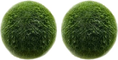 Dailygoods- Algenballen Set van 4 - Natuurlijke Versiering - Verbetering Waterkwaliteit - Aquarium Planten - Groen - 5 g - Aquariumdecoratie