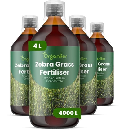 Vloeibare Meststof Voor Zebra Grass - 4X1 L Voor 4000 L - Npk 2-1-8 - Ondersteunt Sterke - Rechtopstaande Stengels - Versterkt Wortelstelsels Voor Langdurige Stabiliteit - Geschikt Voor Aanplant In Tuin - Landschap En Siergrasbeplanting - Organifer