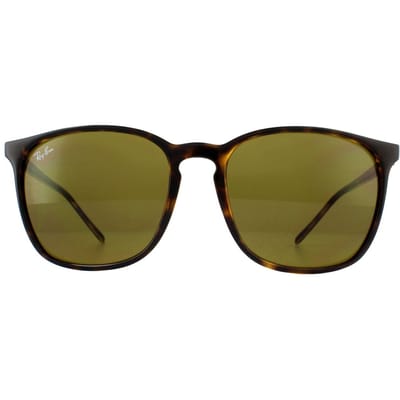 Ray-Ban Zonnebril RB4387 710/73 Schildpadshell Bruin