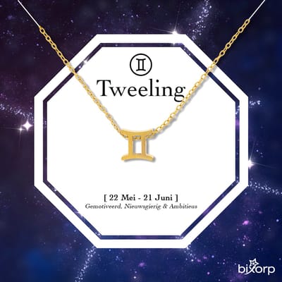 Bixorp Stars Sterrenbeeld Ketting Tweeling / Gemini - Stainless Steel met Goud Verguld - 45cm Ketting met Zodiac Hanger - Inclusief Cadeau Verpakking