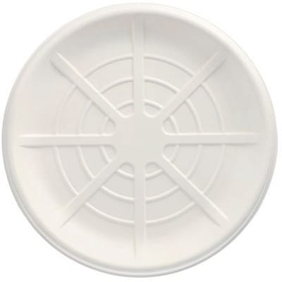 20x 3 Serveerschalen suikerriet pure rond Ø 35 cm wit voor Zeevruchten