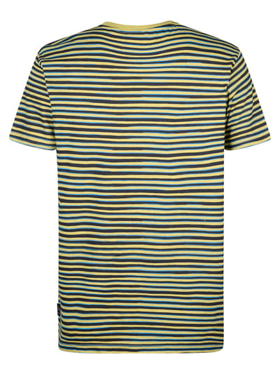 Petrol Industries - Heren Gestreept T-shirt Anchorview - Groen - Maat XL