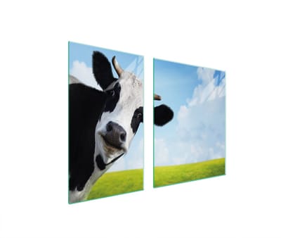 TMK ArtDeko Serie - Snijplank - 100x52 - Glas - Koeienprint