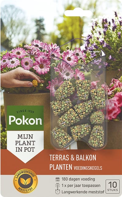 Pokon Voedingskegels voor Terras- & Balkonplanten - 10 stuks - 180 dagen voeding - Plantenvoeding