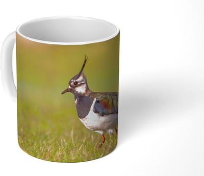 Mok - Koffiemok - Vogel - Gras - Natuur - Dieren - Kievit - Mokken - 350 ML - Beker - Koffiemokken - Theemok