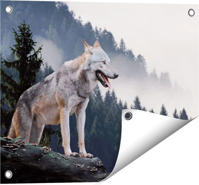 Gards Tuinposter Grijze Wolf in de Bossen - 50x40 cm - Tuindoek - Tuindecoratie - Wanddecoratie buiten - Tuinschilderij