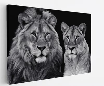 Saammp Canvas Schilderij - Leeuw en Leeuwin - Zwart-wit - Dieren - Natuur - 45x30 - Foto op canvas - Wanddecoratie - Muurdecoratie Woonkamer - Slaapkamer decoratie - Canvas Print