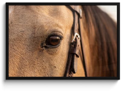 Poster in lijst - Fotolijst 90x60 cm - Posters - Paard - Oog - Bruin - Posterlijst zwart - Decoratie - Wanddecoratie woonkamer - Muurdecoratie slaapkamer