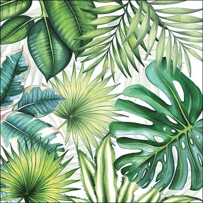 Papieren Servetten - Planten 33 x 33 cm