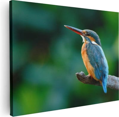 Artaza Canvas Schilderij Vogel - 40x30 cm - Klein - Wanddecoratie Dieren - Muurdecoratie IJsvogel Op Tak - Kamer Accessoires