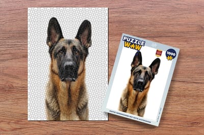 Puzzel Duitse Herdershond met witte achtergrond - Legpuzzel - Puzzel 1000 stukjes volwassenen