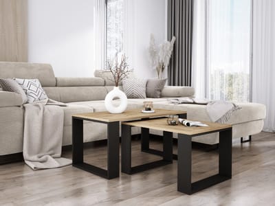 Meubel Square - Salontafel Twinix - Eiken / Antraciet - Set van 2
