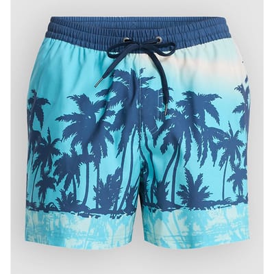 Quiksilver Everyday Printed Volley 15´´ Zwembroek Blauw M Man