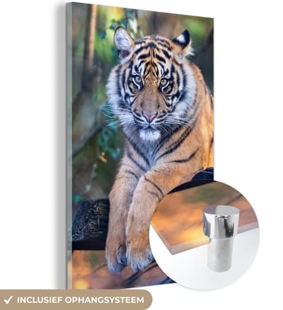 MuchoWow® Glasschilderij 40x60 cm - Schilderij acrylglas - Tijger - Bomen - Natuur - Foto op glas - Schilderijen