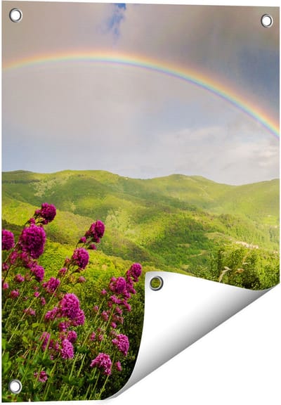 Gards Tuinposter Regenboog in de Heuvel Bossen - 40x50 cm - Tuindoek - Tuindecoratie - Wanddecoratie buiten - Tuinschilderij